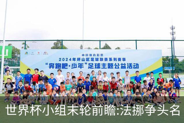 世界杯小组末轮前瞻:法挪争头名 西班牙仍不稳