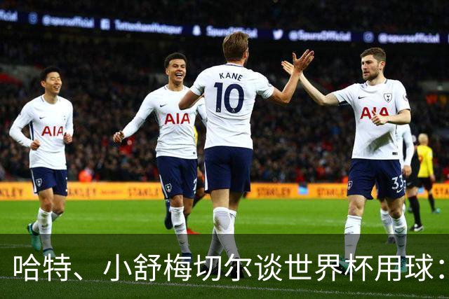 哈特、小舒梅切尔谈世界杯用球：这球肯定有问题，远射太多了